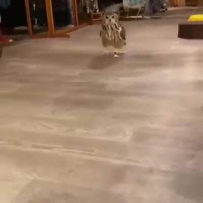 What do you need, madame?