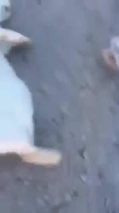 Caution:-Watch Till The End.....Made Me Cry