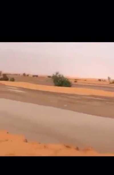 I think something is wrong with your car