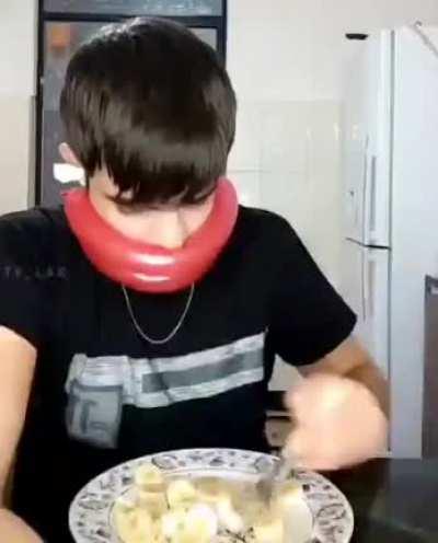 В мире животных