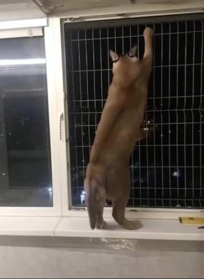 A philoflopical standpoint