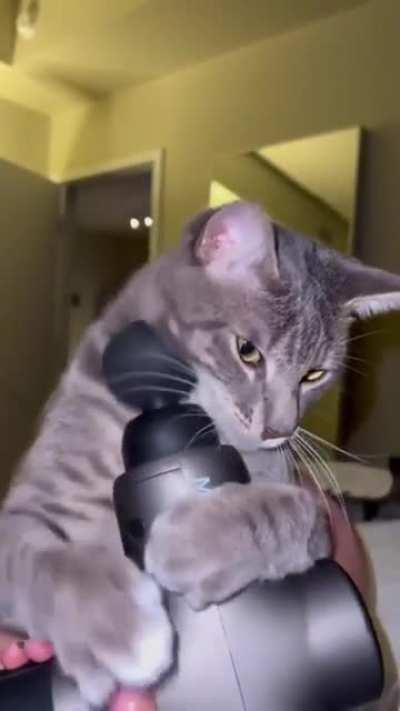 Just think about it! Found a practical use for himself