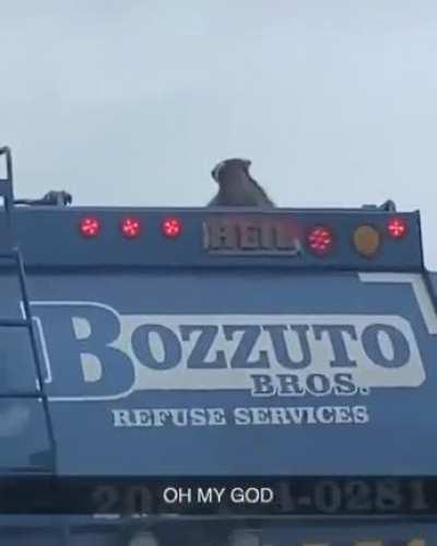 On the way to the promise land