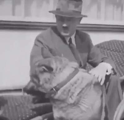 STAN HITLER THE UNPROBLEMATIC KING!!!