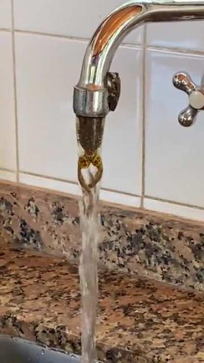 He just give up in the middle