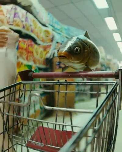 When you gotta hit up the grocery store mid trip