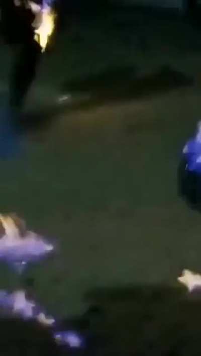 Feather me Brother 🔥🦅