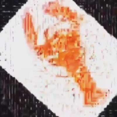 Lobster go brrrrrrrrr🥶🥶🥶