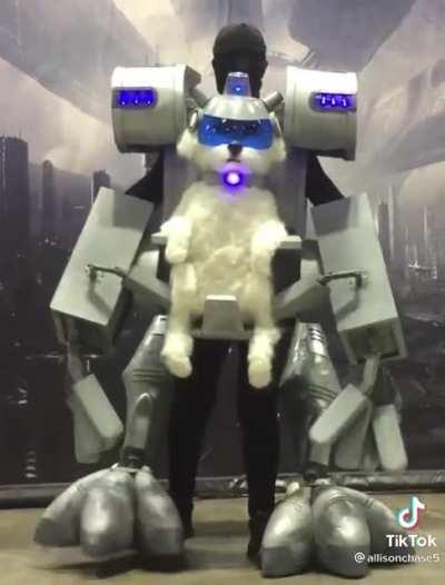 ГДЕ МОИ ТЕСТИКУЛЫ, САММЕР?!