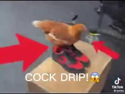 I'm 15 and this is yeet