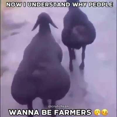 farmers