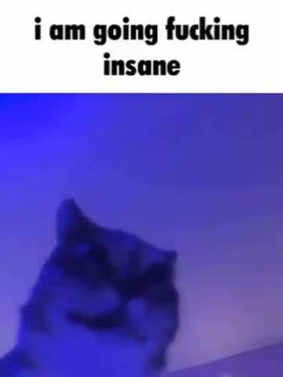 cbgvhbnfgchnftghfjFGJ:FGhrftyuT&7u5e%^34%EWR TY/r TJ:GHkyulk