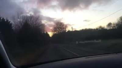 Chris wants a spaghetti sandwich