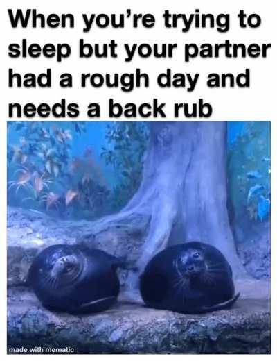 Sometimes they just need a back rub