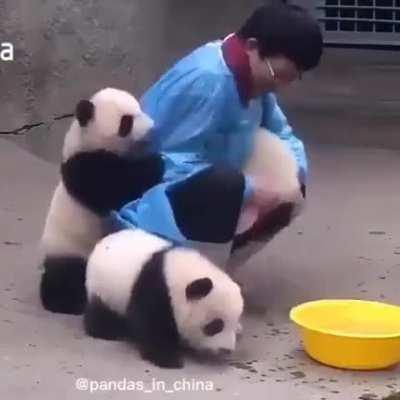 Clean the pandas