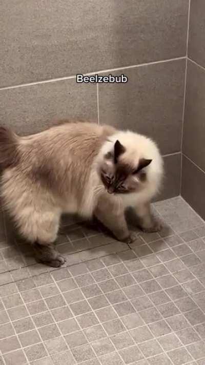 The end is nigh 👹