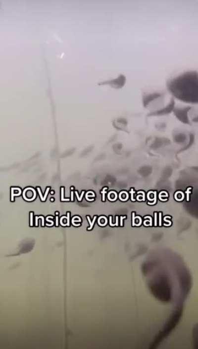 Stepmom got me whilin