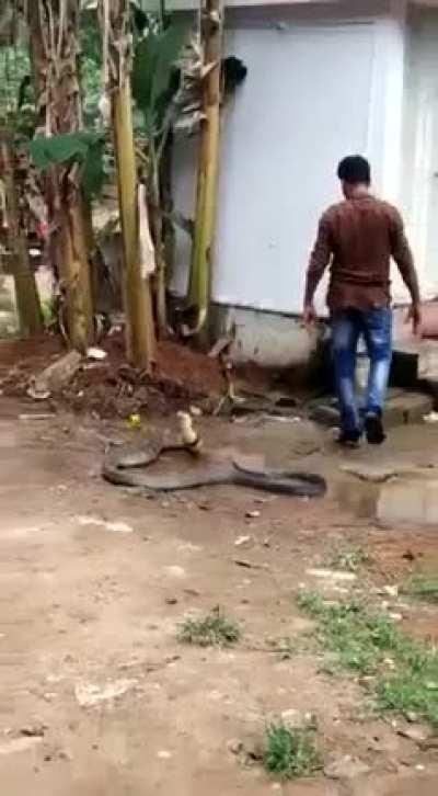 Average day in India