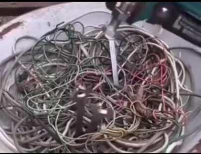 Nature is healing. Lesser spotted Thumb-Detecting Nut Fucker in the wild.