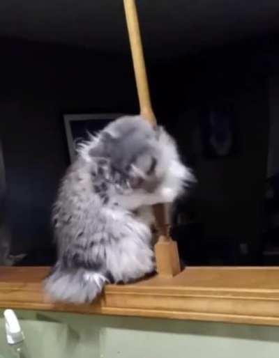 I present this pole dance