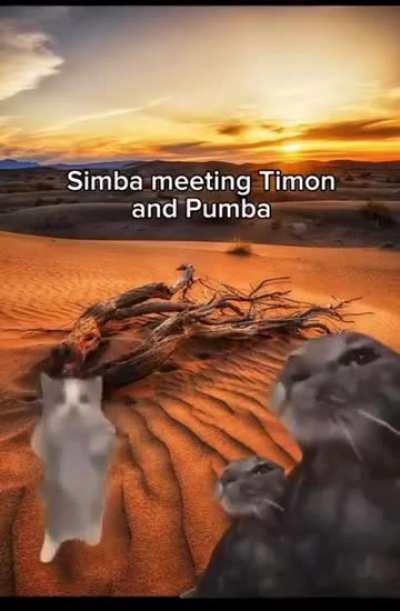 Lion king in a nutshell