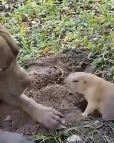 HEY BACK OFF IDIOT!!!!!