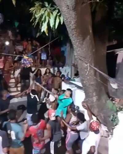 Eis que os crias frazem uma festa pro tio Zé! 1 eu shot ou meia banana e um slv