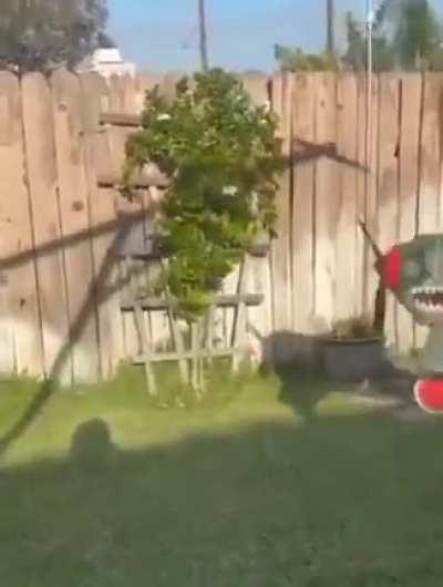 Para melhorar seu dia😁