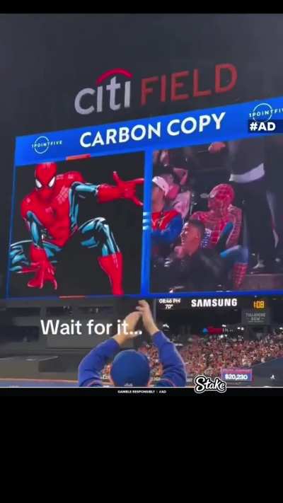 The doppelg&auml;nger screen at the ball game nails one, crowd goes ape.