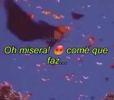 a boatos que ele ainda esta at&eacute; hj tentando mandar audio