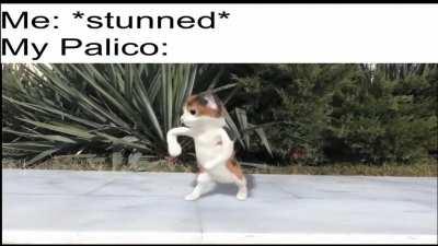 *aggressive button mashing*