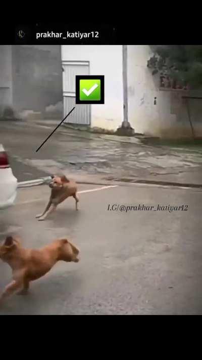 Make sure you have DBS 