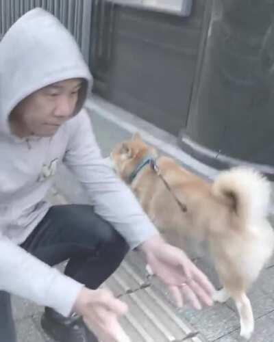 The doggy did him dirty