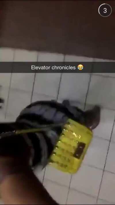 ELEVATOR ASS CLAP LOUD TURN DOWN MIZZ TWERKSUM OLD