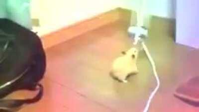 Es un meme muy viejo pero muy bueno