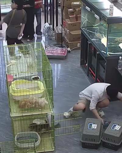 Paw-ception, the furrmula is broken