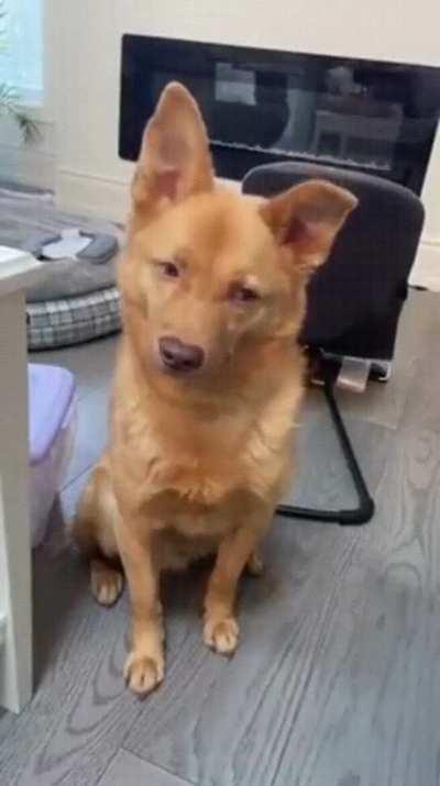 MRW I farted silently in a meeting and the smell is hitting the crowd.