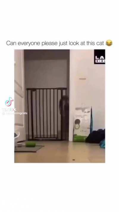 Schlatts fav i guess