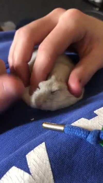 Chubber Butt living the best life