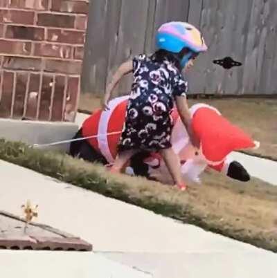 Kid fights inflatable santa