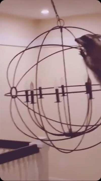 Apologies if someone else has made this mix already. Same trash ballerina, but with appropriate music this time.