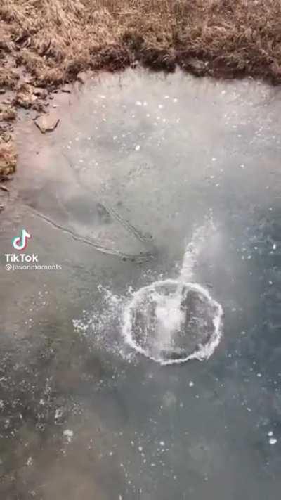 The splash was satisfying enough… but the wave 😩