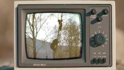 Why Russians Don't Get Coronavirus