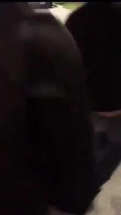 Found this on twitter