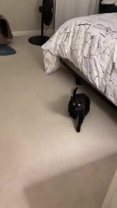 Can you spell the sound Willa makes?