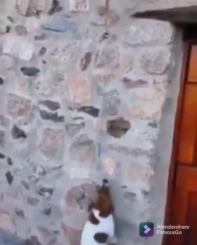 Gotta ring that bell