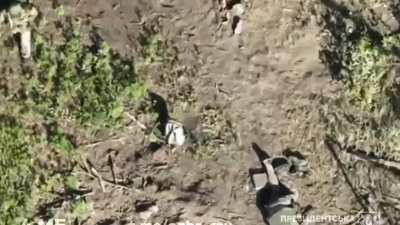 Ukraine War | “Summer Edition” Vaporized Russians Compilation LXVIII (July 19, 2024)