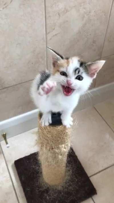 We call this her screeching post