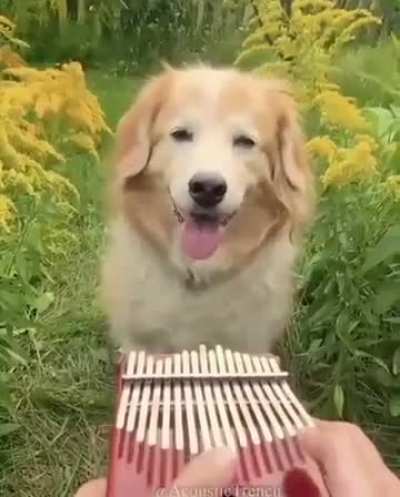 Some happiness for you