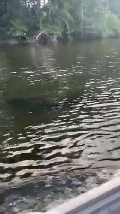 Yup, this has overridden every other fear I ever had...